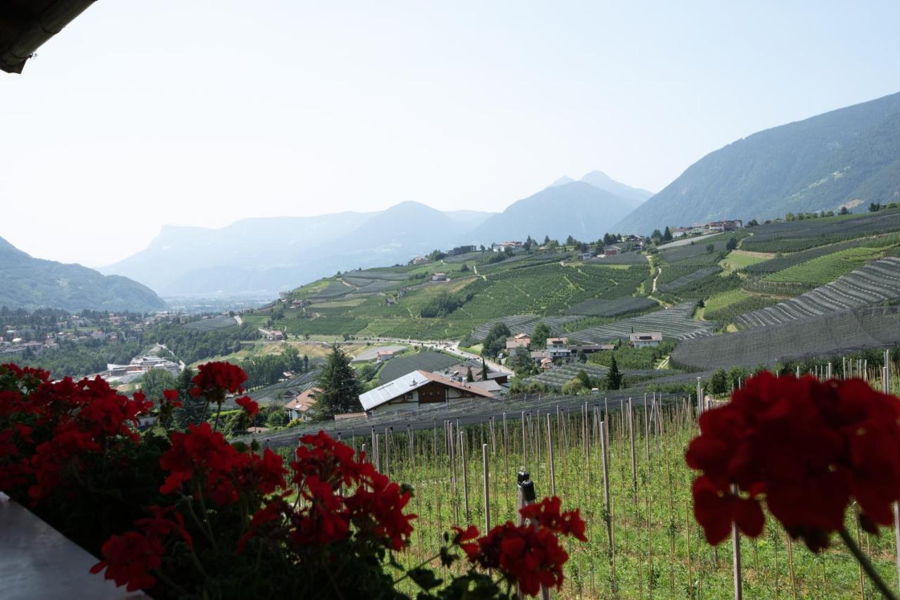 Noessinghof Bed & Breakfast Tirolo Exterior photo